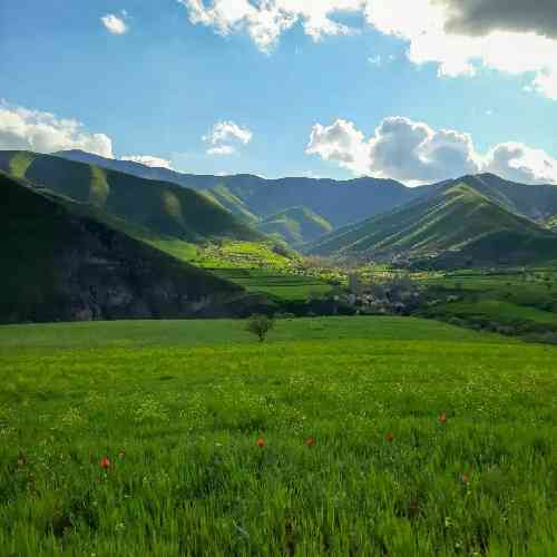 محمد اسدیان زندونیه روزگارم زمستونی بی بهارم منو میله و تنهاییم